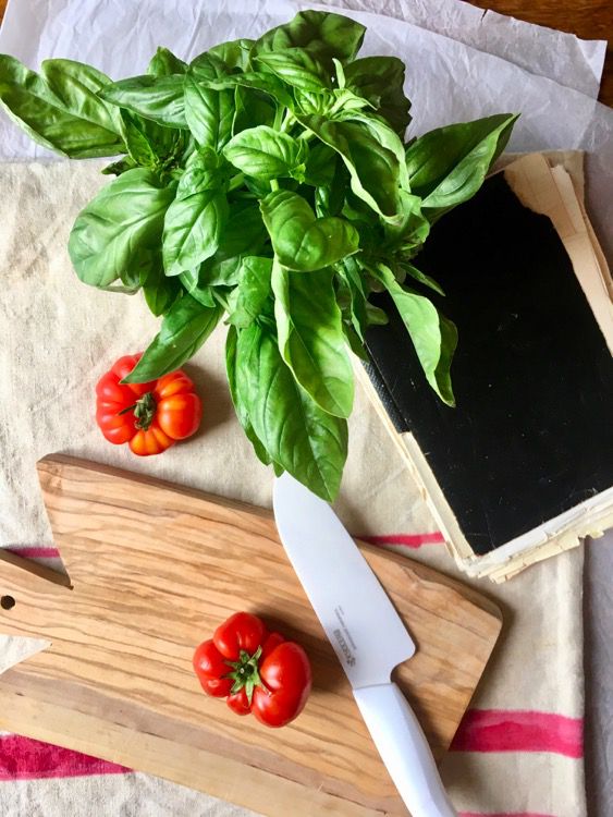 Summer Focaccia with Tomatoes, Burrata Cheese and Basil