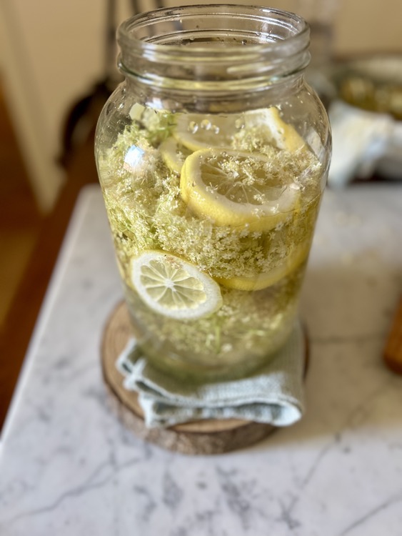 Homemade elderflower syrup recipe